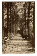 CPA Carte Postale Belgique-Saventhem- Pensionnat Des Religieuses Ursulines Drève De La Grotte -VM25923m - Zaventem