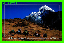 MT. TAMSERKU, NÉPAL - ANIMATED WITH YAKS -  PHOTO, HORST C. WELKER - - Népal