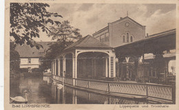 911) BAD LIPPSPRINGE - Lippequelle Und Trinkhalle - Schwäne Am Wasser 24.09.1928 !! - Bad Lippspringe