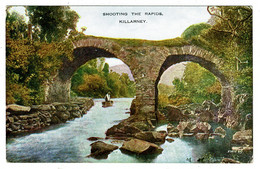 Ref 1440 - Early Postcard - Shooting The Rapids - Killarney - County Kerry Ireland - Kerry