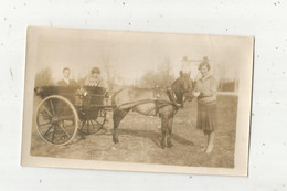 Photographie , 115 X 70 Mm , Attelage , Cheval - Non Classés