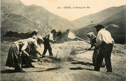 Scène Corse * Le Battage Du Blé * Agriculture * Corse Du Sud 2A * éditeur Collection Simon Damiani Bastia - Autres & Non Classés