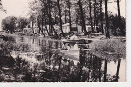 Delcampe - BISCARROSSE - Biscarrosse