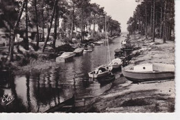 Delcampe - BISCARROSSE - Biscarrosse