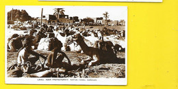 Lahej. Aden Protectorate Native Camel Caravan Yemen - Jemen