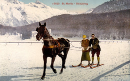 San Moriz Skikjoring - Sports D'hiver