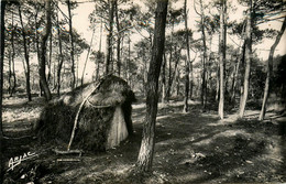 Ile D'oléron * Hutte De Résiniers Résinier Métier Bois - Ile D'Oléron