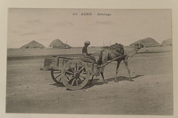 C. P. A. : Yemen : ADEN : Attelage, Chameau - Yémen