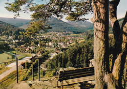 3826 - Deutschland - Herrenalb Im Schwarzwald , Blick Vom Falkenstein - Gelaufen 1968 - Bad Herrenalb