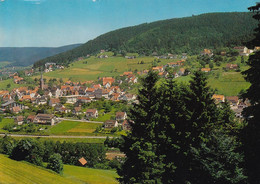 3828 - Deutschland - Baiersbronn Im Schwarzwald , Panorama - Gelaufen 1974 - Baiersbronn