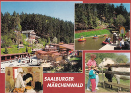 3878 - Deutschland - Saalburg , Saalburger Märchenwald - Nicht Gelaufen - Saalburg