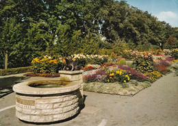 3908 - Deutschland - Hof Saale , Botanischer Garten , Froschbrunnen - Gelaufen 1972 - Hof