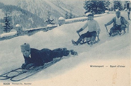 WINTERSPORT - N° 9209 - SPORT D'HIVER - Other