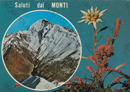 CARTOLINA SALUTI DAI MONTI,  MONTE LEGNONE M. 2610, VACANZA, ,MONTAGNA, LA NEVE, SCIARE, RIFUGIO,  VIAGGIATA 1972 - Lecco