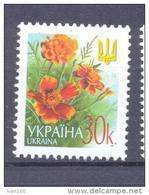 2004.  Ukraine, Definitive, 30k "2004", 1v, Mint/** - Ukraine