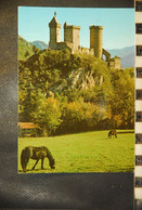 CP, 09, FOIX, Le Chateau Fort Des Comtes De Foix , Chevaux De Merens , N°2096 - Foix