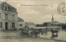 Montreuil Belfroy * Le Marouiller * Abreuvoir - Montreuil Bellay