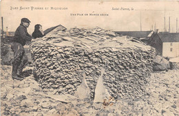 ¤¤  -   SAINT-PIERRE-et-MIQUELON   -  SAINT-PIERRE  -   Une Pile De Morue Sèche  -  Pêcheur   -  ¤¤ - Saint-Pierre-et-Miquelon