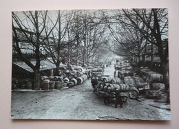 Carte Moderne  Animée 150 X105 - PARIS 1900 - LA HALLE AU VIN - Tonneaux - Fûts  - Alcool -  Photo DESOYE - Vignes