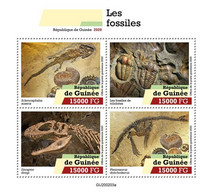 Guinea  2020 Fossils. (203a)  OFFICIAL ISSUE - Fossils