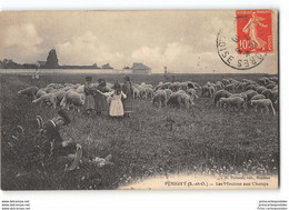 CPA 94 Perigny Les Moutons Aux Champs - Perigny