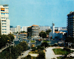 Toulon * Lumière Et Beauté De La Côte D'azur * Le Rond Point - Toulon