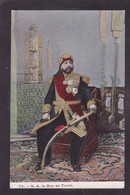 CPA Tunisie Sultan Bey Non Circulé - Tunisia