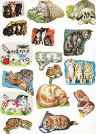 Glanzbilder Einzelmotive Katzen - 16 Stück - Tiere