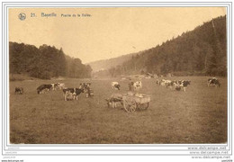 BASEILLE ..--  Prairie De La Vallée . Attelage âne !! Vers WAVRE ( Melle Lucie MAGOS ) . Voir Verso . - Sainte-Ode