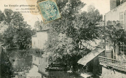 SAINTE-HERMINE - Les Bords De La Smagne  - Lavandières - Sainte Hermine