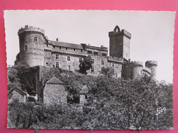 46 - Environs De Saint Céré - Château De Castelnau - CPSM En Excellent état - R/verso - Saint-Céré