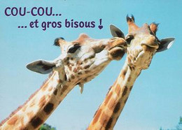 Carte Neuve Girafes " Cou-cou Et Gros Bisous" - Girafes