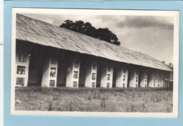 L' " AJALAKA " DE GLELE  -  MUSEE D ' ABOMEY  -  CARTE PHOTO  - - Dahomey