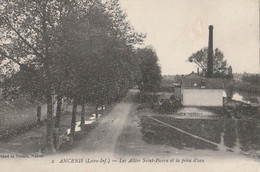 ANCENIS -  Les Allées Saint Pierre Et La Prise D'eau - Ancenis