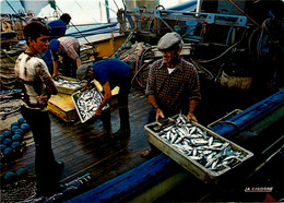 Sète * Le Retour De Pêche * Sardines * Pêcheurs - Sete (Cette)