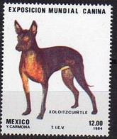 MEXIQUE Chiens, Chien, Dog, Perro, Hunde, Yvert N°1043 MNH ** - Honden