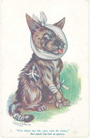 Cpa Illustrateur Louis Wain – Chien Blessé ( Moi Aussi J’ai Fait La Guerre …) - Wain, Louis