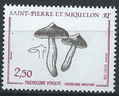 Saint-Pierre Et Miquelon YT 497 Neuf Sans Charnière - XX - MNH Champignon Mushroom - Unused Stamps