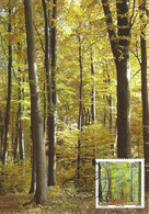 Luxembourg 2011 Carte Maximum Europa Fôret ¦ Forest ¦ Wald - Briefe U. Dokumente