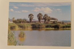 Carte Postale : NAMIBIA : Gross Barmen, Hot Spring Resort Near OKAHANDJA - Namibia