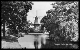 Cp Dentelée - LEIDEN - Molen De Valk - Moulin - Edit. MUVA - Leiden