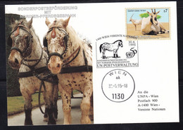 United Nations Austria Office: 1995 Noriker Horse Team Sonderpostkarte - Briefe U. Dokumente