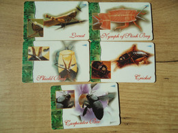 SINGAPORE USED SET 5 CARDS INSECTS - Altri & Non Classificati