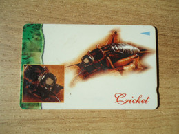 SINGAPORE USED   CARDS INSECTS - Andere & Zonder Classificatie