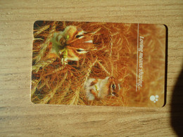 SINGAPORE USED CARDS ANIMALS RABBIT - Conigli