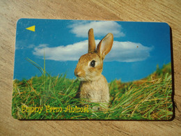 SINGAPORE USED CARDS   ANIMALS RABBIT - Konijnen