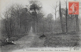 94)  VILLECRESNES - Allée De La Place   -  Foret De Villecresnes - Villecresnes