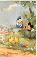 Walt Disney * Mickey * CPA Illustrateur * Joyeuses Pâques * Donald Poussins Oeufs * DISNEY - Andere & Zonder Classificatie