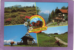 Länder-Wandergebiet Steinplatte Bild Oben Rechts : Alpengasthof Steinplatte 1440 M Waidring Tirol - Waidring