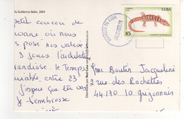 Beau Timbre , Stamp "  Lézard Lagartos Endemicos"  Sur Cp , Carte , Postcard Du 08/02/2005 ATTENTION , Carte Coupée - Briefe U. Dokumente